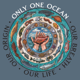 558- Only One Ocean